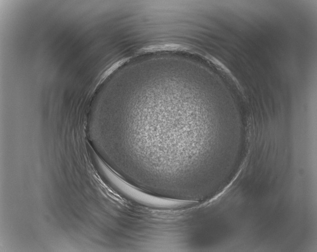 X0000078890921200611201433