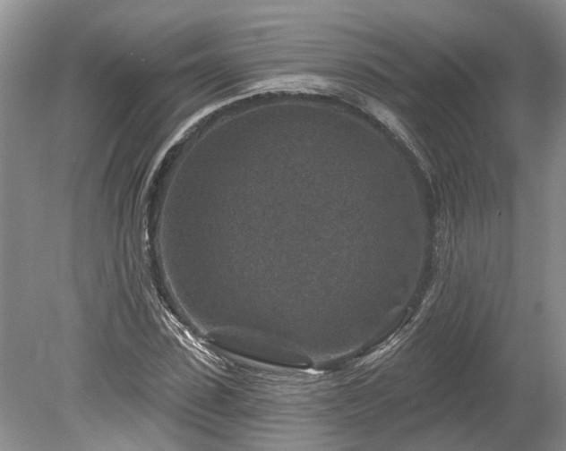 X0000078890923200611201433