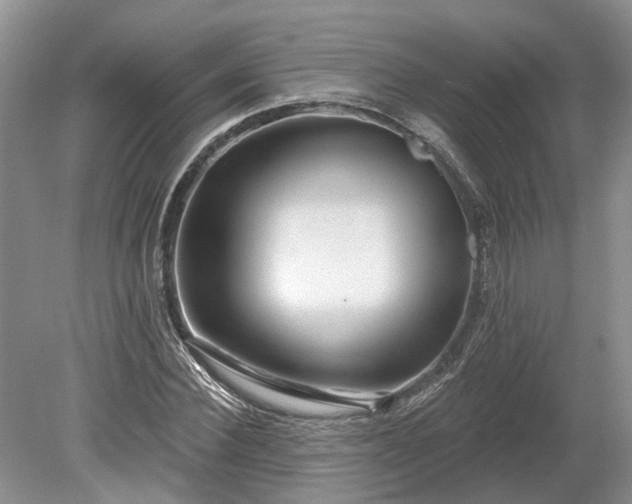 X0000078890924200611201433