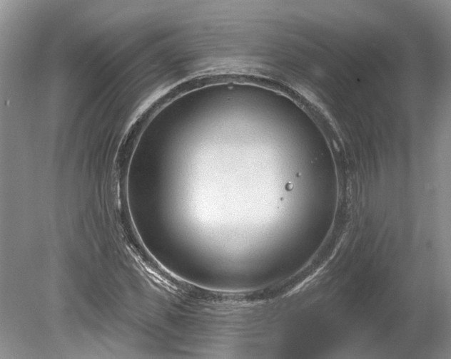 X0000078890925200611201433