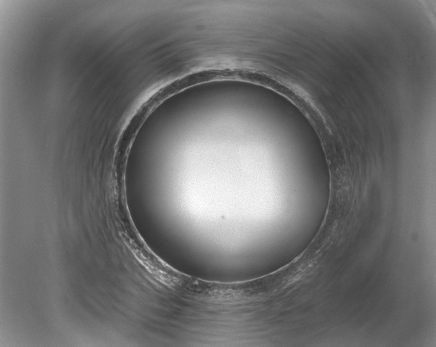 X0000078890927200611201433