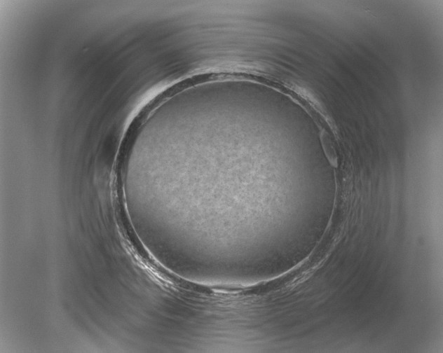 X0000078890928200611201433