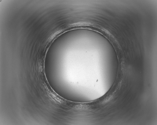 X0000078890929200611201433