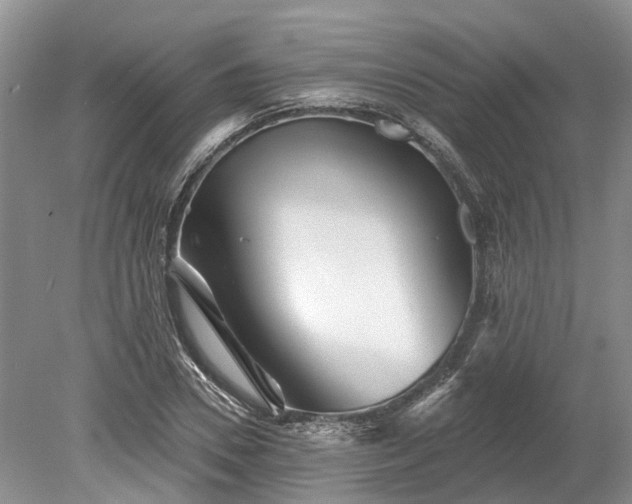 X0000078890930200611201433