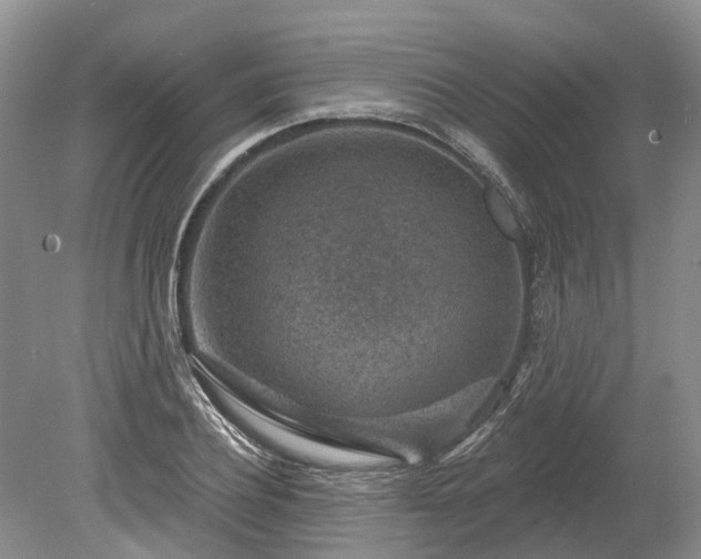 X0000078890932200611201433