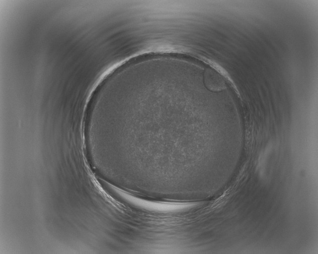 X0000078890935200611201433