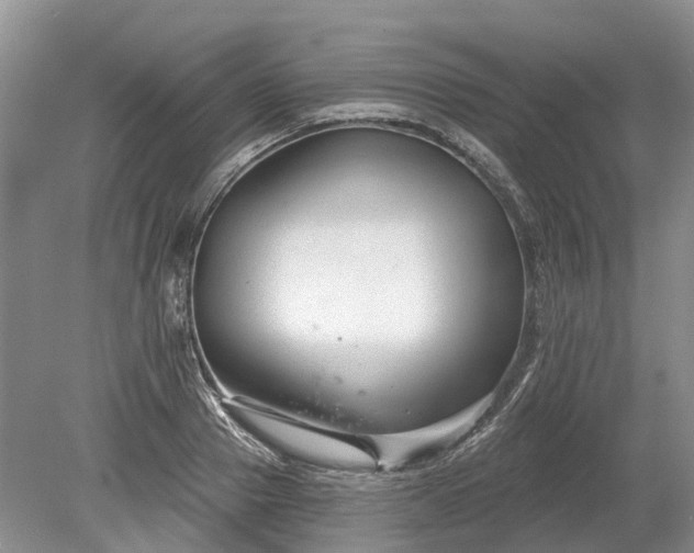 X0000078890937200611201433