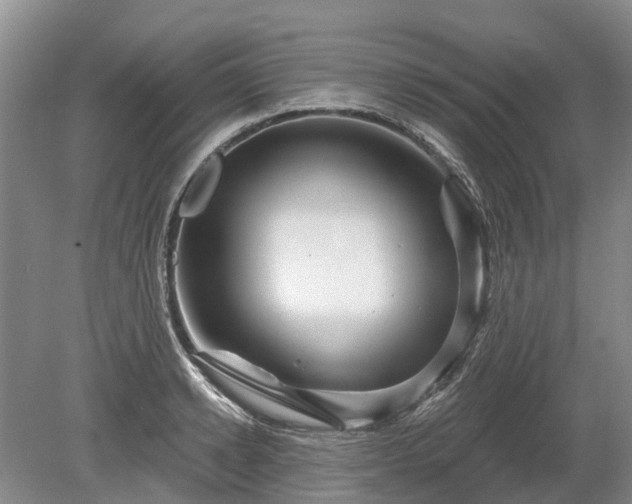 X0000078890942200611201433