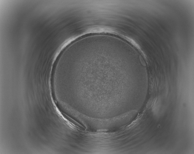 X0000078890943200611201433