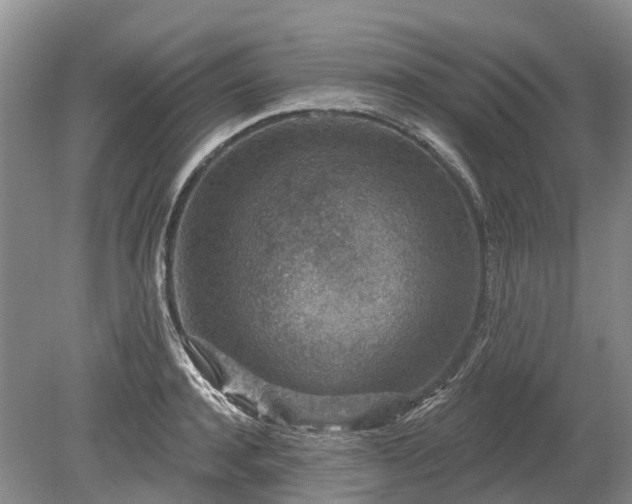 X0000078890944200611201433