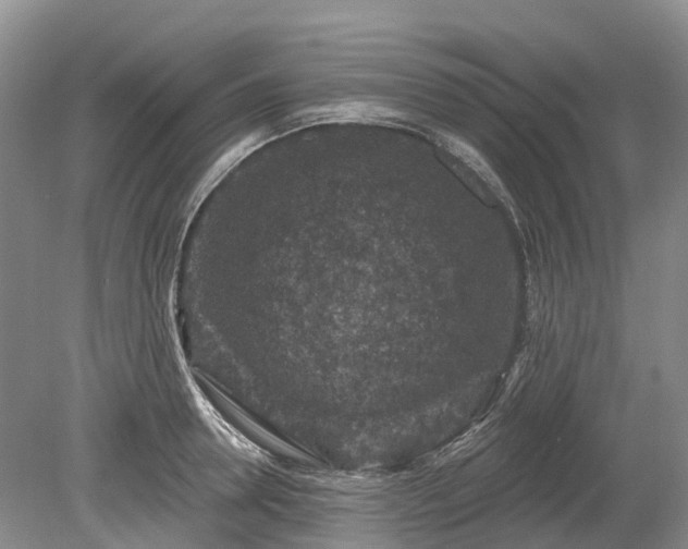 X0000078890946200611201433