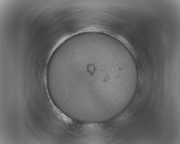 X0000078890950200611201433