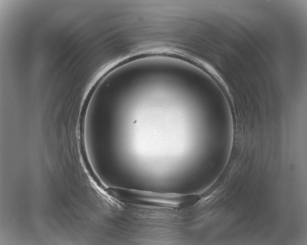 X0000078890951200611201433