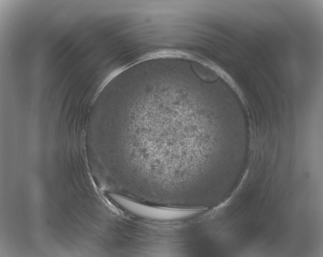 X0000078890953200611201433