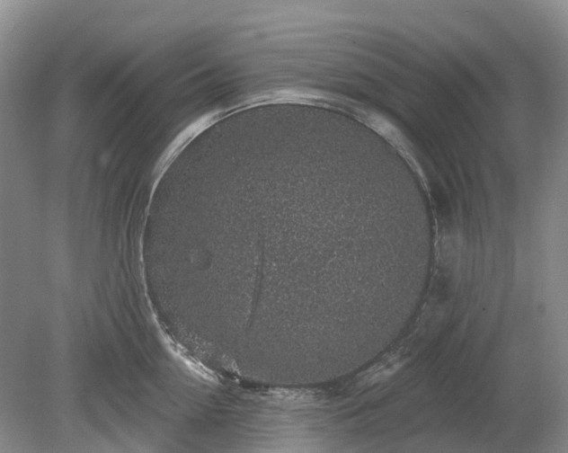 X0000078890954200611201433