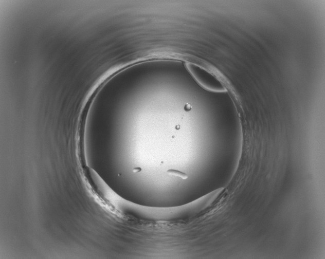 X0000078890955200611201433