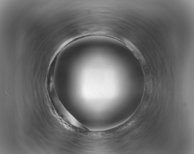 X0000078890956200611201433