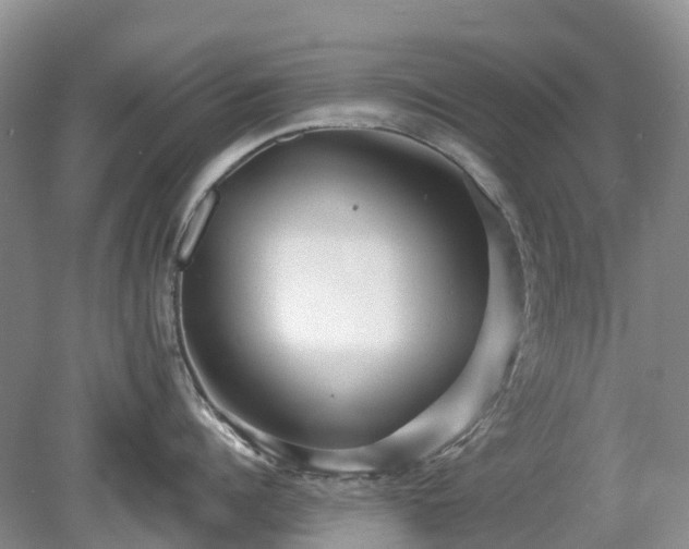 X0000078890960200611201433