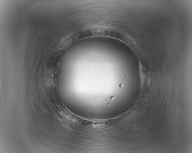 X0000078890964200611201432