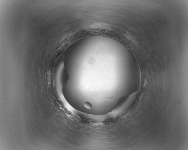 X0000078890965200611201432