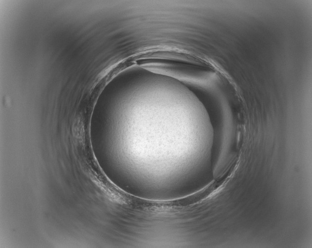 X0000078890969200611201432