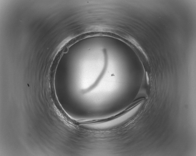 X0000078890972200611201432