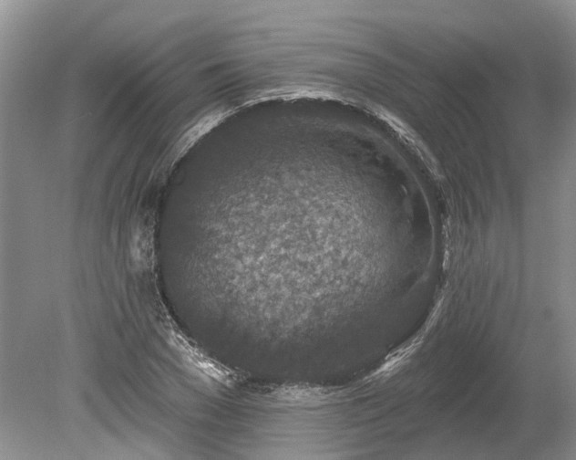 X0000078890977200611201432