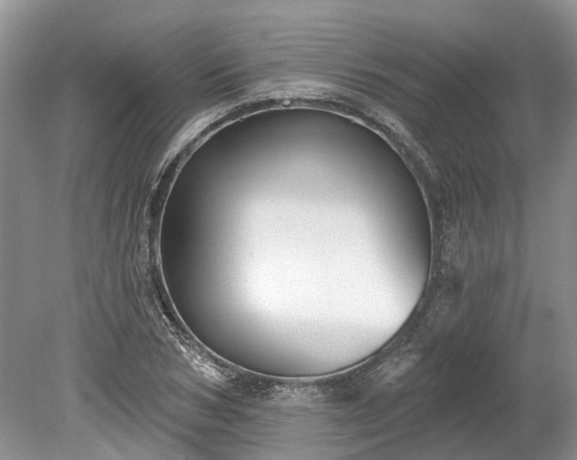 X0000078890978200611201432