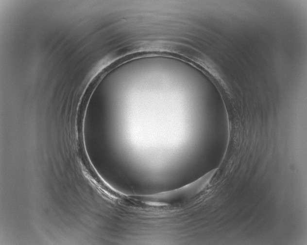 X0000078890980200611201432