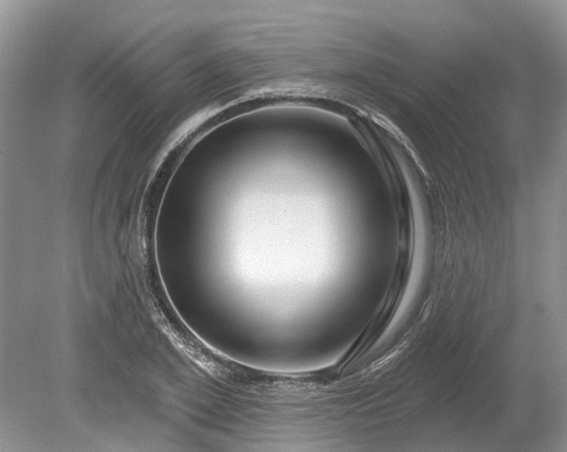 X0000078890981200611201432