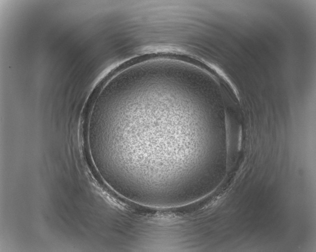 X0000078890983200611201432