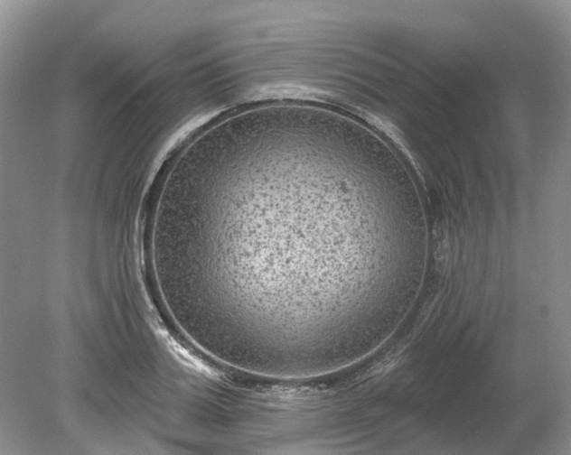 X0000078890987200611201432