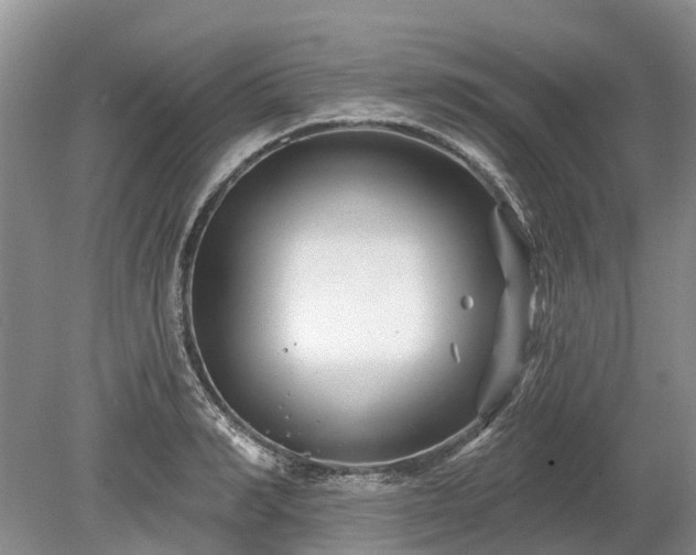 X0000078890990200611201432