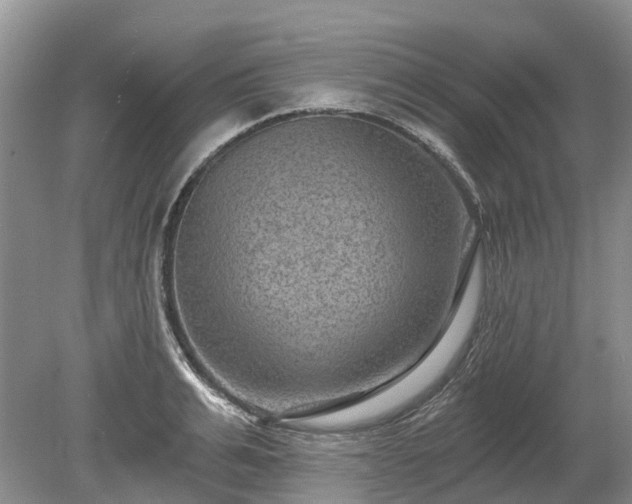 X0000078890991200611201432