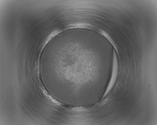 X0000078890994200611201432