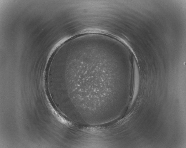 X0000078890995200611201432