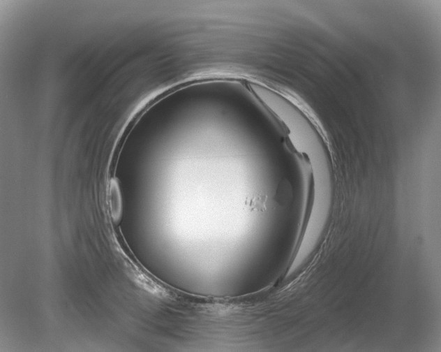 X0000078890996200611201432