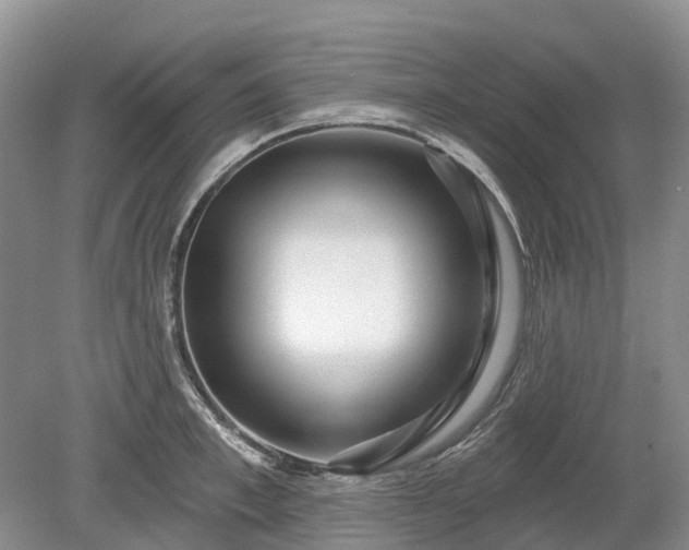 X0000078890997200611201432