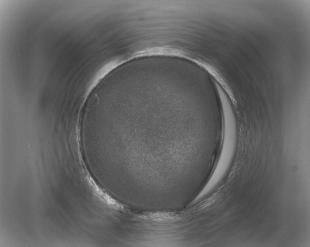 X0000078890998200611201432