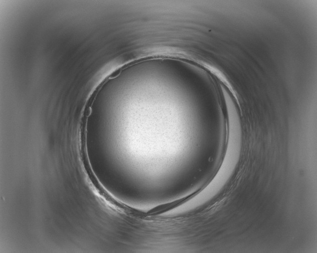 X0000078890999200611201432