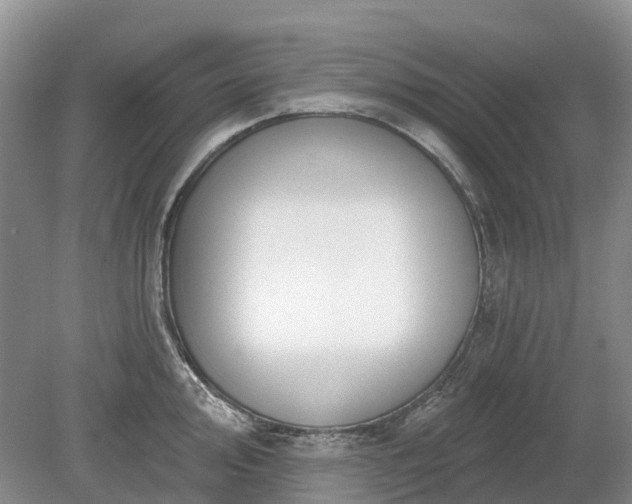 X0000078891000200611201432