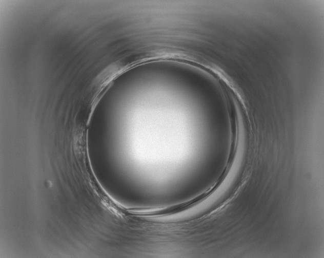 X0000078891001200611201432