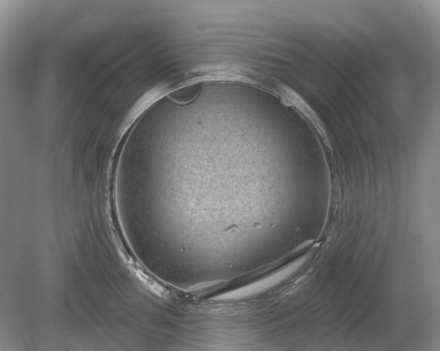 X0000078891002200611201432