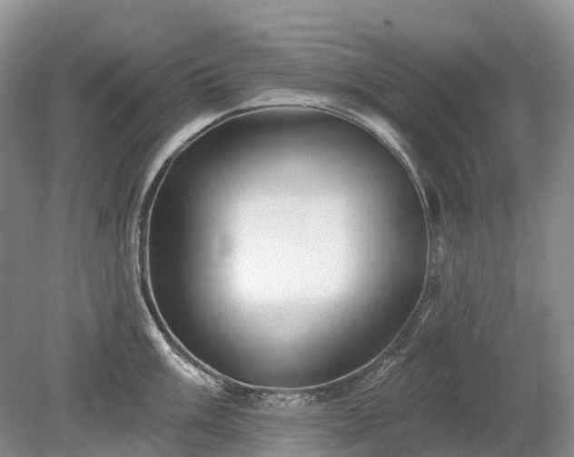 X0000078891003200611201432