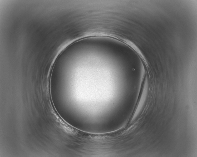 X0000078891004200611201432