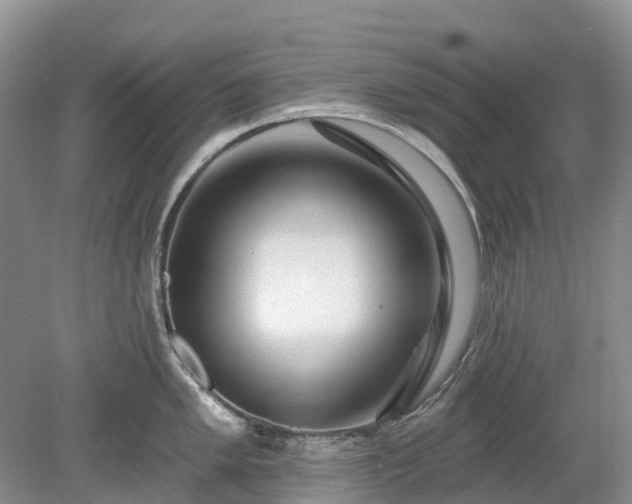 X0000078891005200611201432