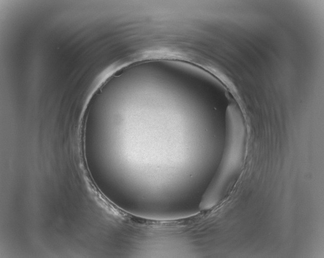 X0000078891008200611201432