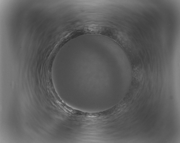 X0000078891009200611201431