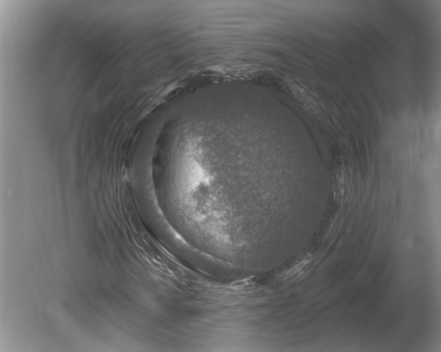 X0000078891010200611201431