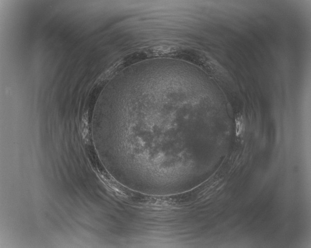 X0000078891011200611201431